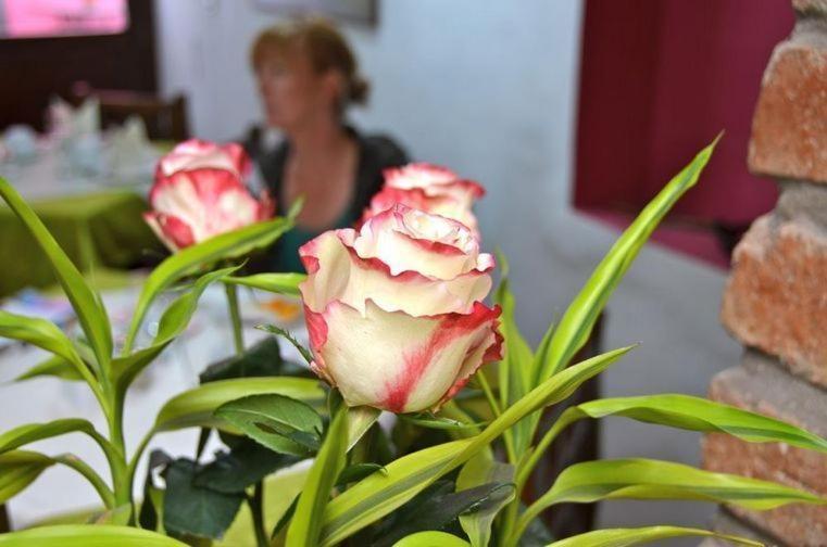 Casa De Las Rosas Cuenca Bilik gambar